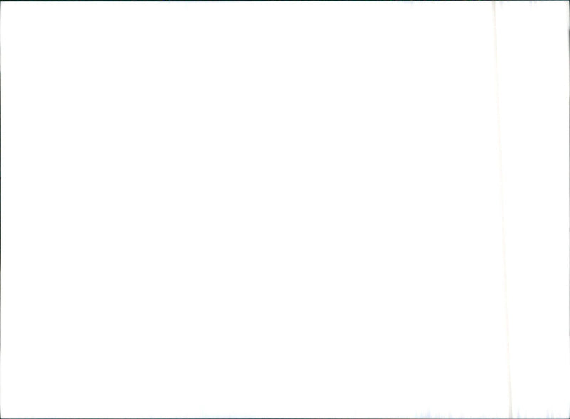 Mitsubishi van - Vintage Photograph