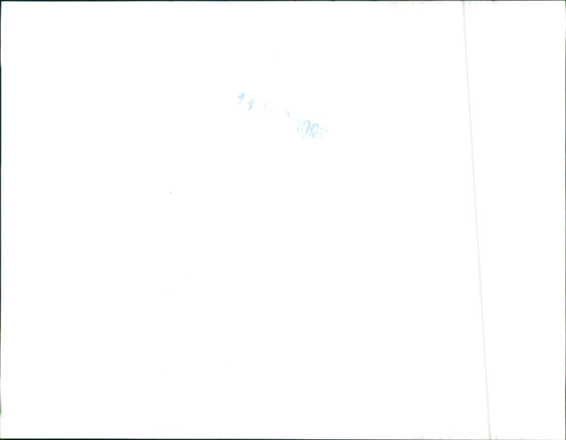 Mitsubishi Delica Star Wagon 4WD - Vintage Photograph