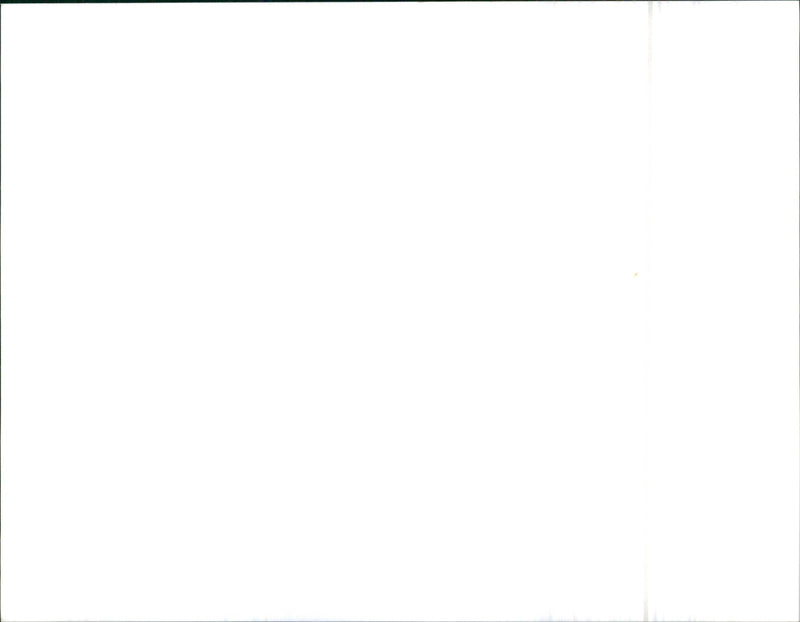 Mitsubishi Pajero - Vintage Photograph