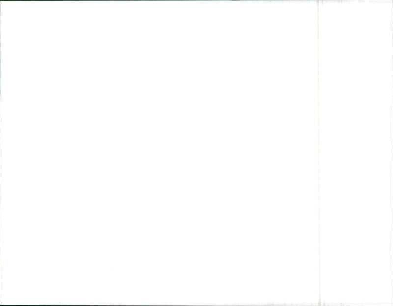 Mitsubishi Pajero - Vintage Photograph