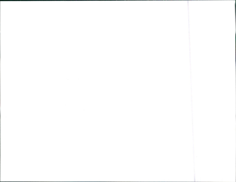 Honda Civic - Vintage Photograph