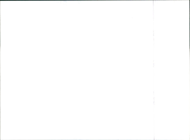 2001 Honda Civic - Vintage Photograph