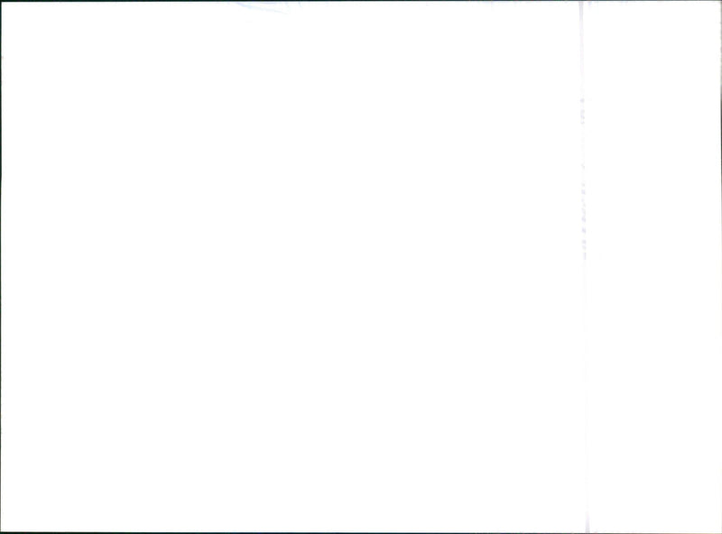 2001 Honda Civic - Vintage Photograph