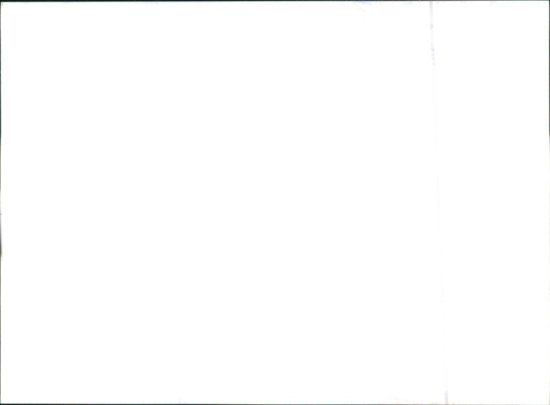 2001 Honda Civic - Vintage Photograph