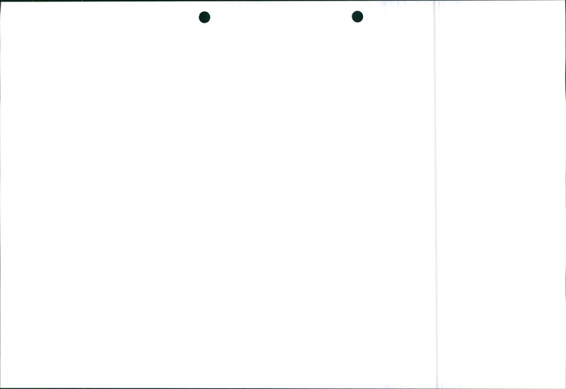 Honda Civic 1995 - Vintage Photograph