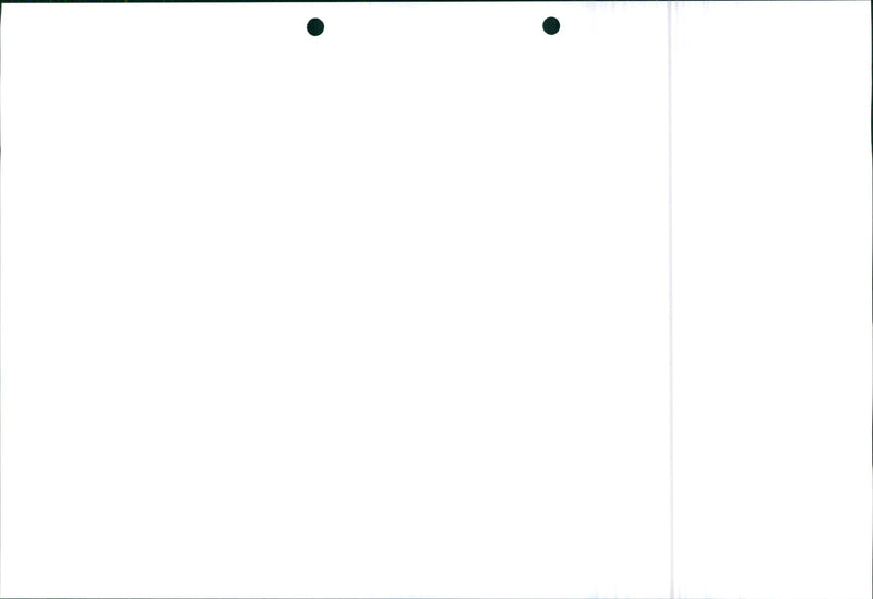 Honda Civic 1995 - Vintage Photograph