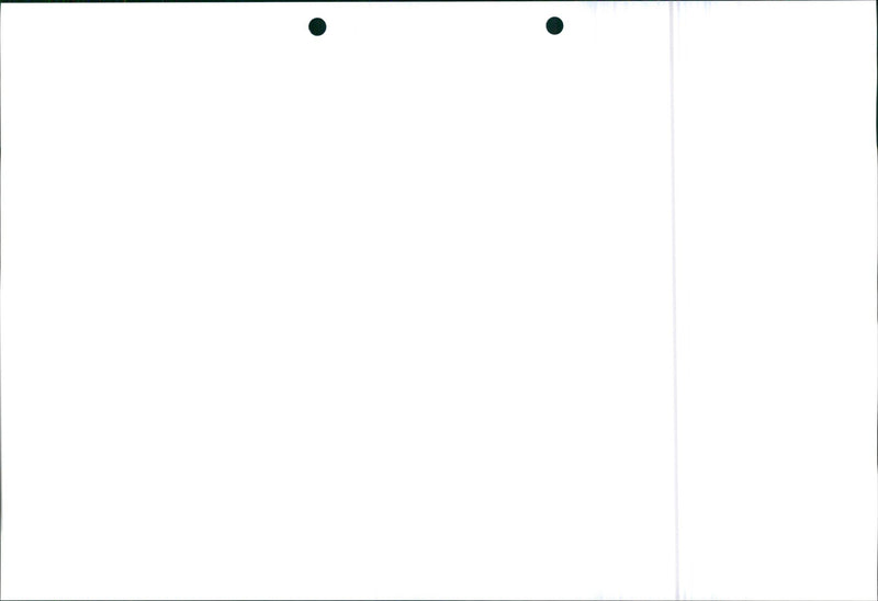 Honda Civic 1995 - Vintage Photograph