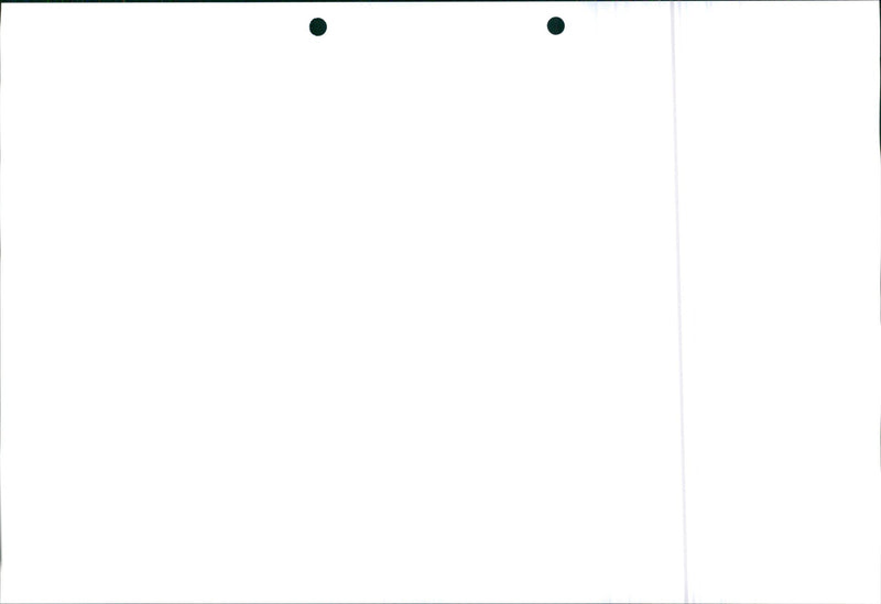 Honda Civic 1995 - Vintage Photograph