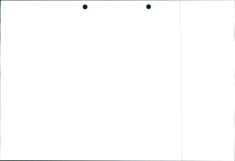 Honda Civic 1995 - Vintage Photograph