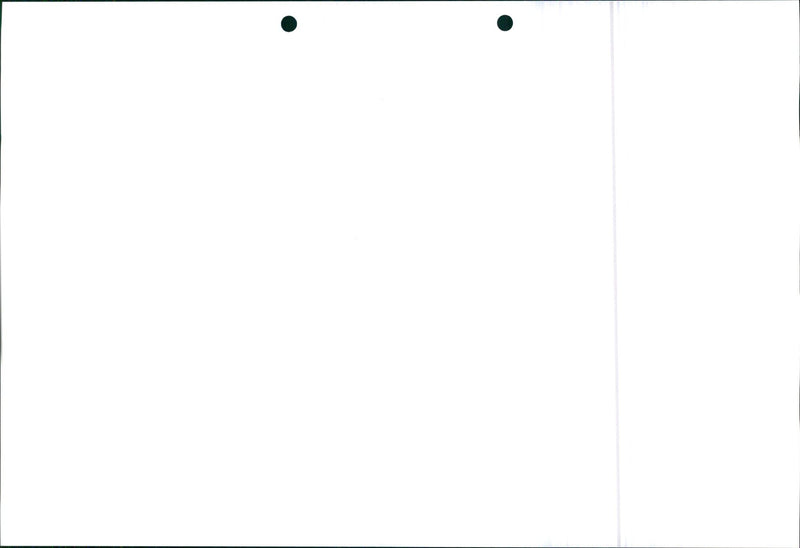 Honda Civic 1995 - Vintage Photograph