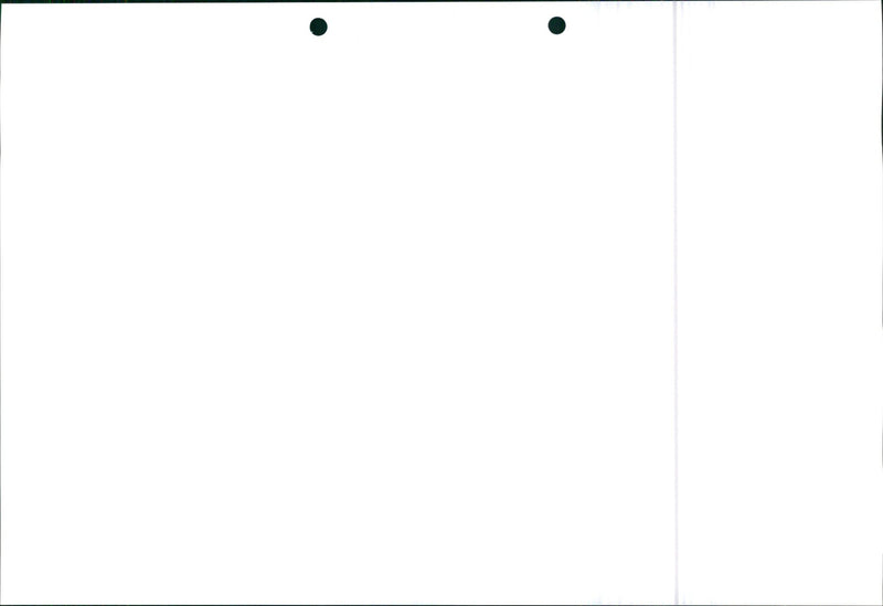 Honda Civic 1995 - Vintage Photograph