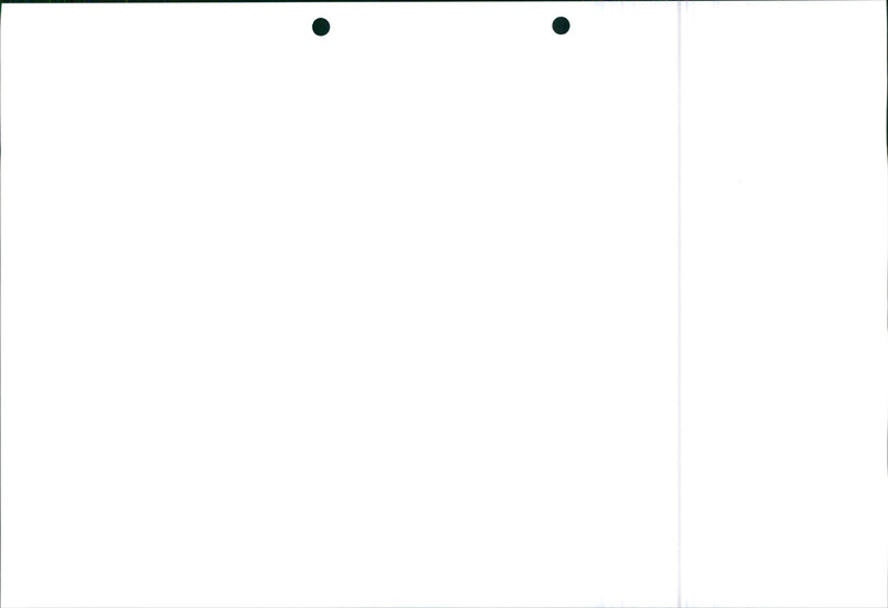 Honda Civic 1995 - Vintage Photograph