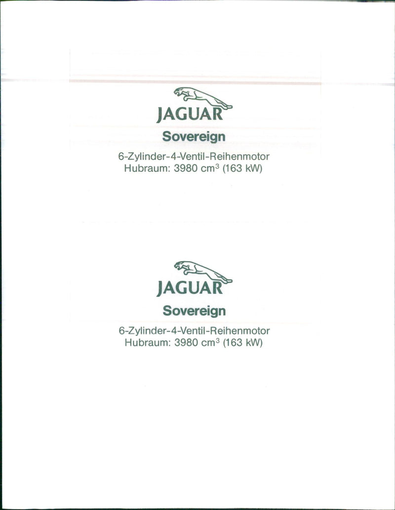 Jaguar - Vintage Photograph