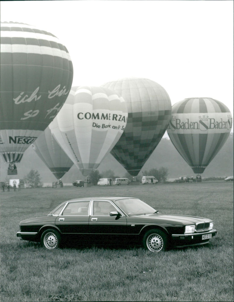 Jaguar - Vintage Photograph