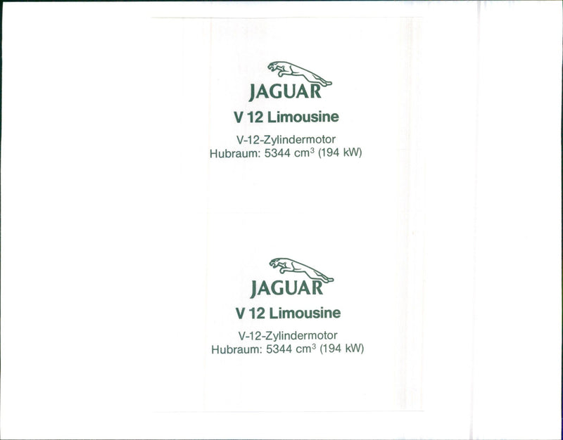 Jaguar V - Vintage Photograph