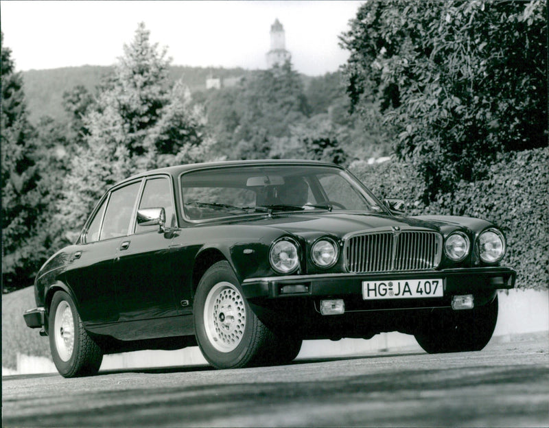 Jaguar V - Vintage Photograph