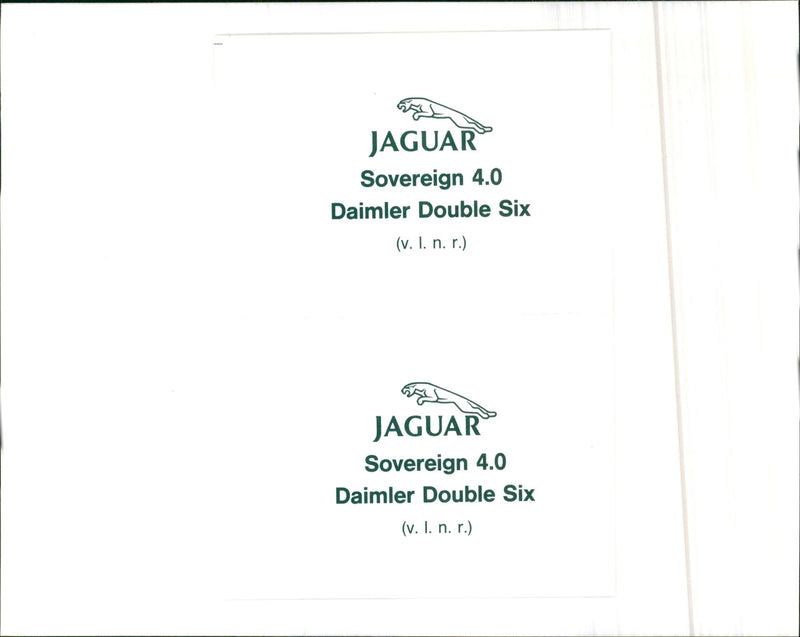 Jaguar - Vintage Photograph