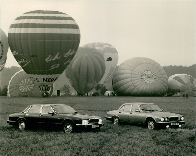 Jaguar - Vintage Photograph