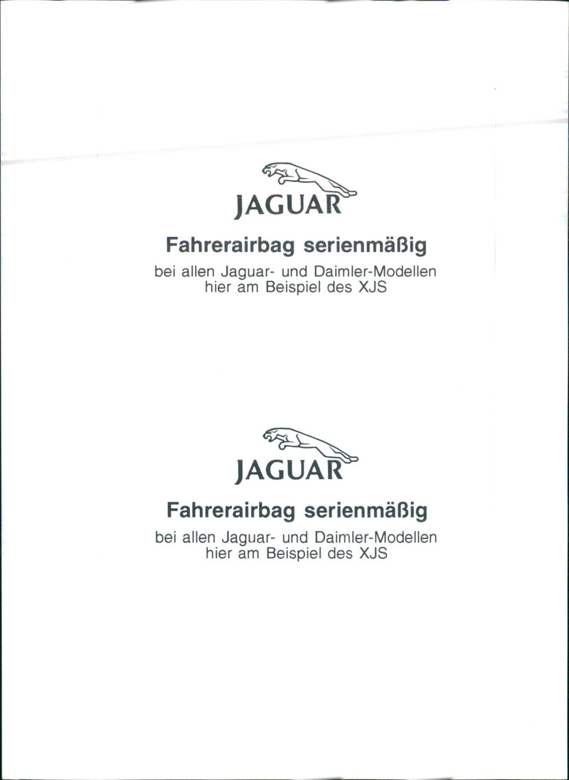 Jaguar - Vintage Photograph