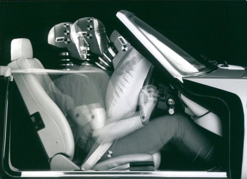 Jaguar - Vintage Photograph