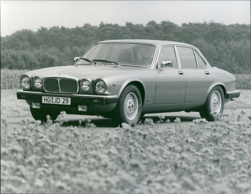 Jaguar Daimler Double Six - Vintage Photograph