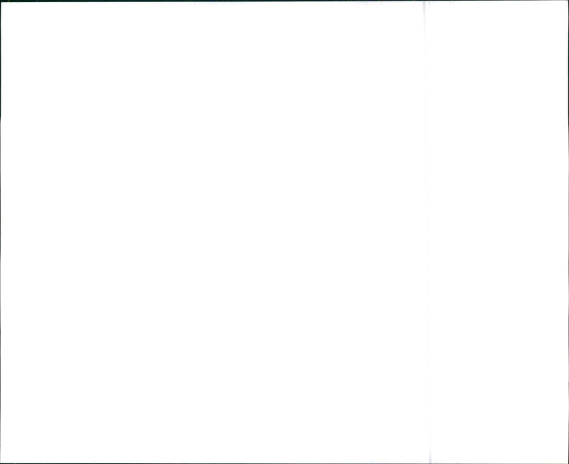 Jaguar Insignia - Vintage Photograph