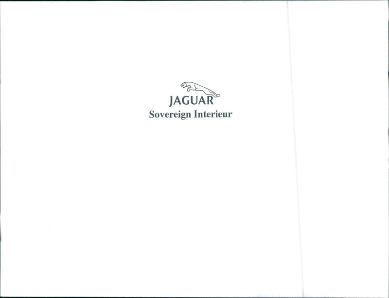 Jaguar - Vintage Photograph