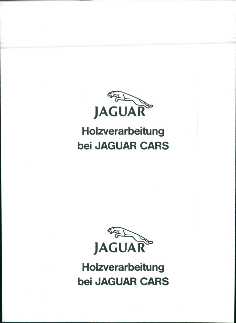 Jaguar - Vintage Photograph