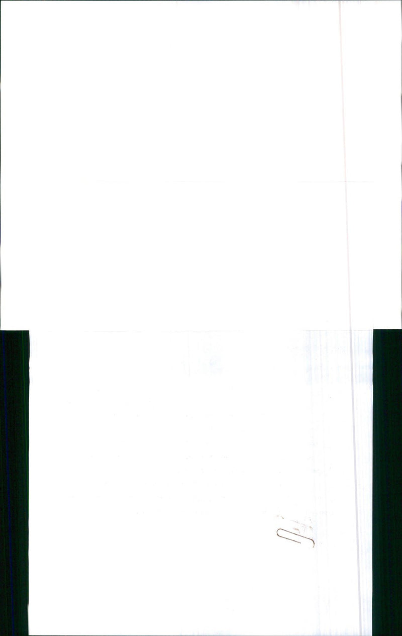 Mercedes Benz - Vintage Photograph