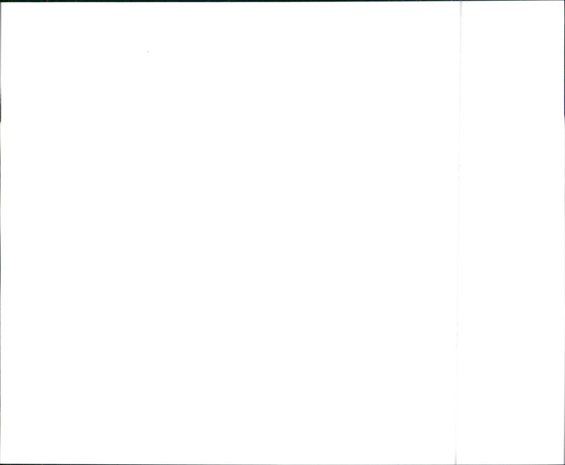 1988 Buick Skyhawk Coupe - Vintage Photograph