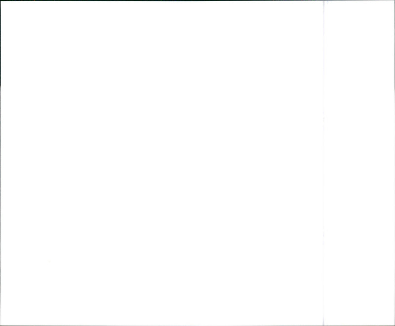 1988 Buick Skylark Limited Sedan - Vintage Photograph