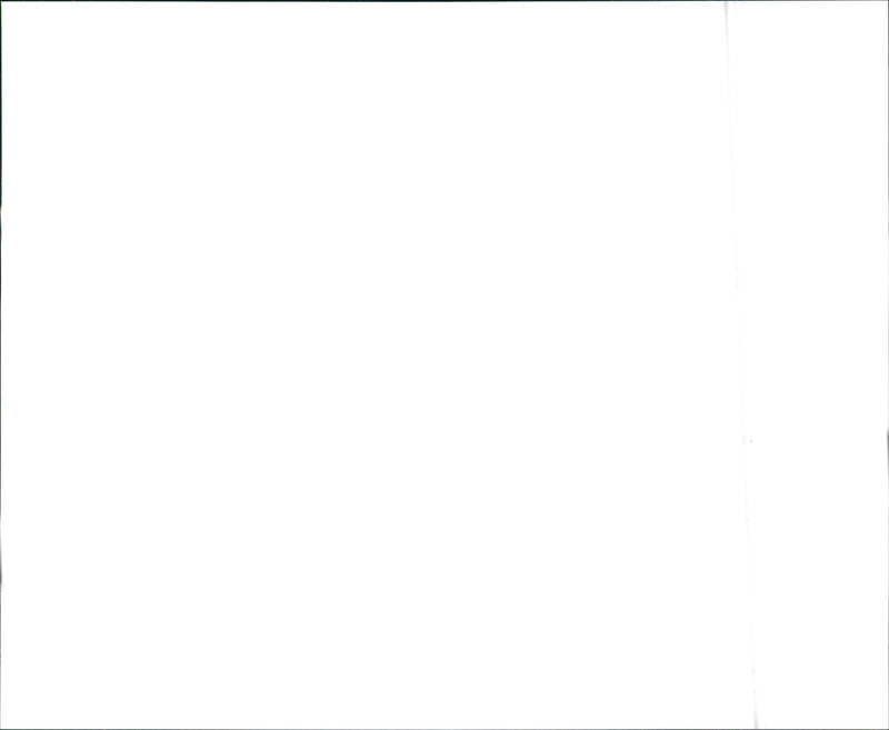 1988 Buick Skylark Custom Coupe - Vintage Photograph