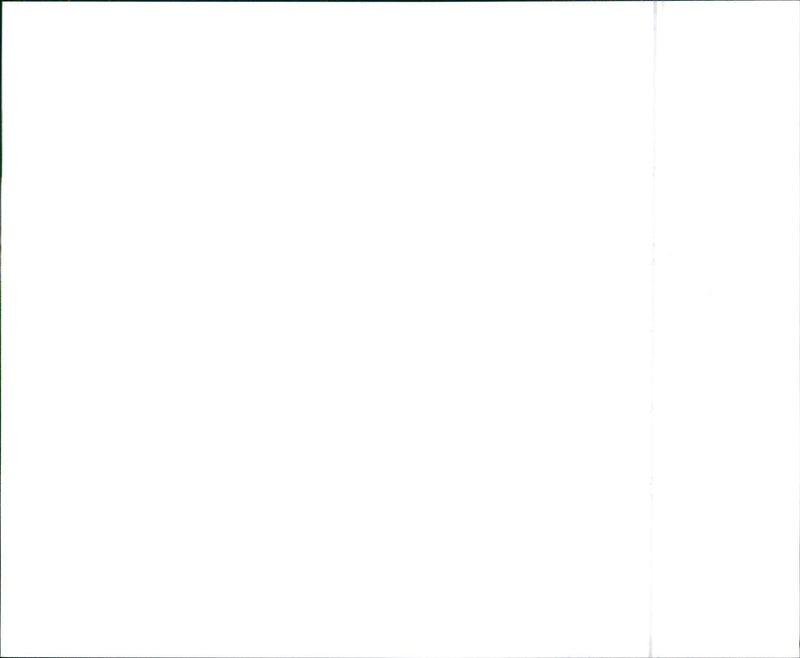 1988 Buick LeSabre Coupe - Vintage Photograph