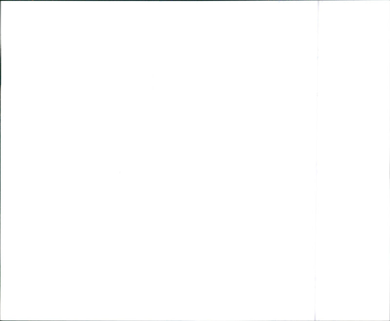 1988 Buick LeSabre Limited Sedan - Vintage Photograph