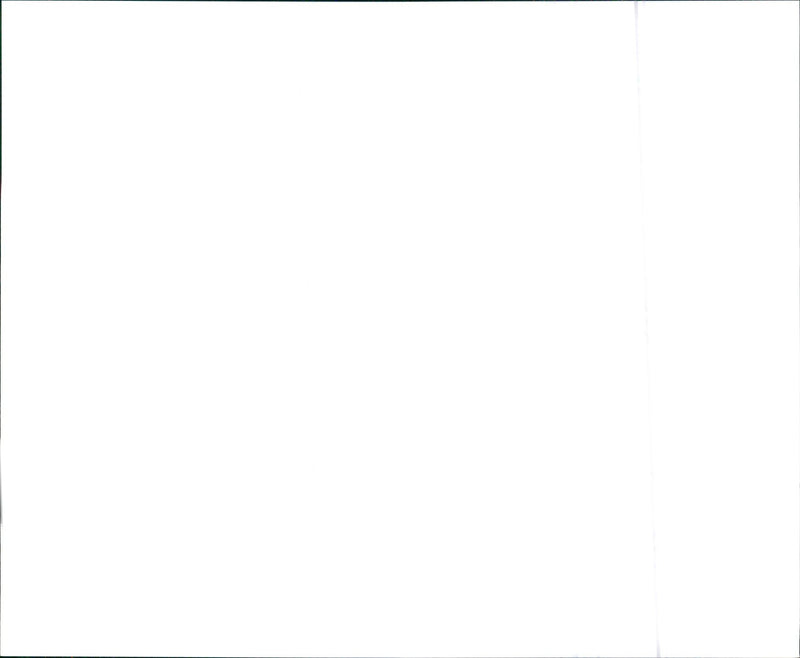 1988 Buick Electra Limited Sedan - Vintage Photograph