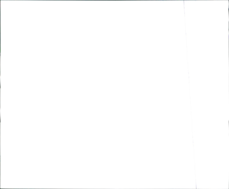 1988 Buick Electra Park Avenue Sedan - Vintage Photograph