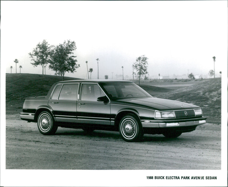 1988 Buick Electra Park Avenue Sedan - Vintage Photograph