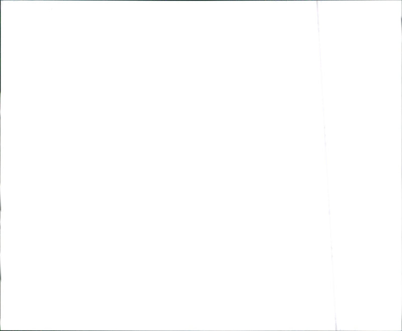 1988 Buick Regal Custom - Vintage Photograph