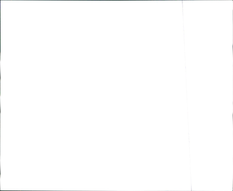 1988 Buick Regal Custom - Vintage Photograph