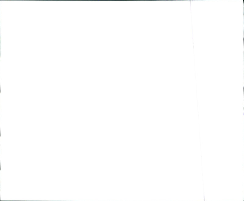 1988 Buick Regal Limited - Vintage Photograph