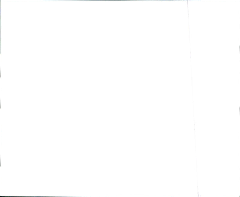 1988 Buick Regal Limited - Vintage Photograph