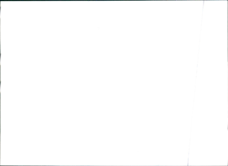 Rover CCV (Coupe Concept Vehicle) - Vintage Photograph