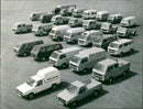 Volkswagen - Vintage Photograph