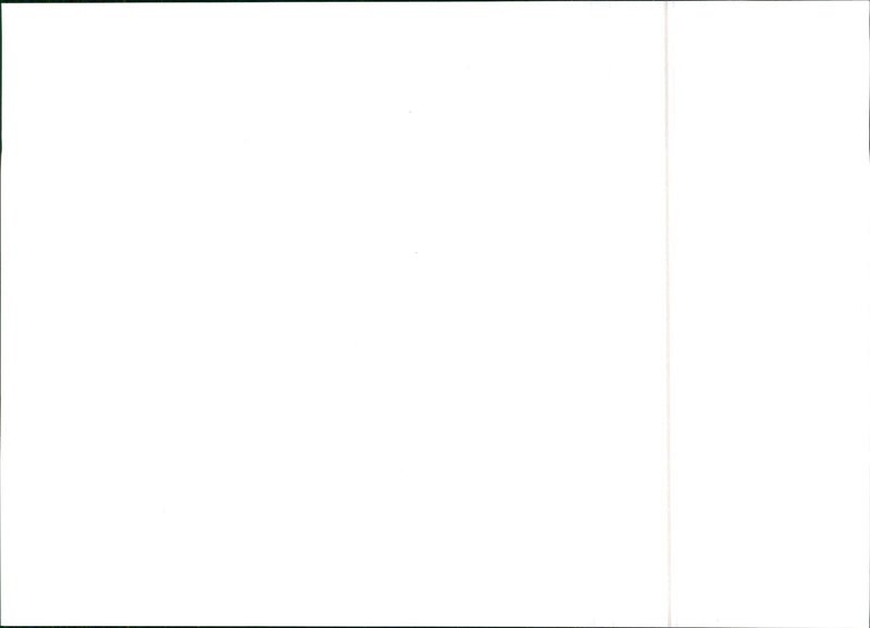 SEAT Marbella - Vintage Photograph