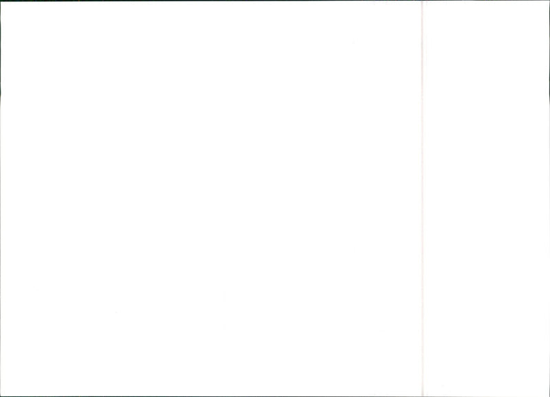 SEAT Marbella - Vintage Photograph