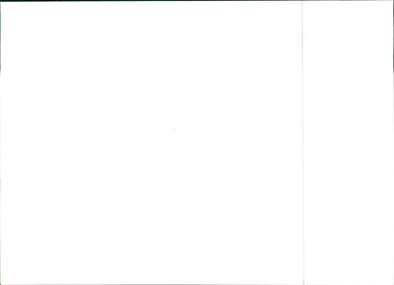 SEAT Marbella - Vintage Photograph