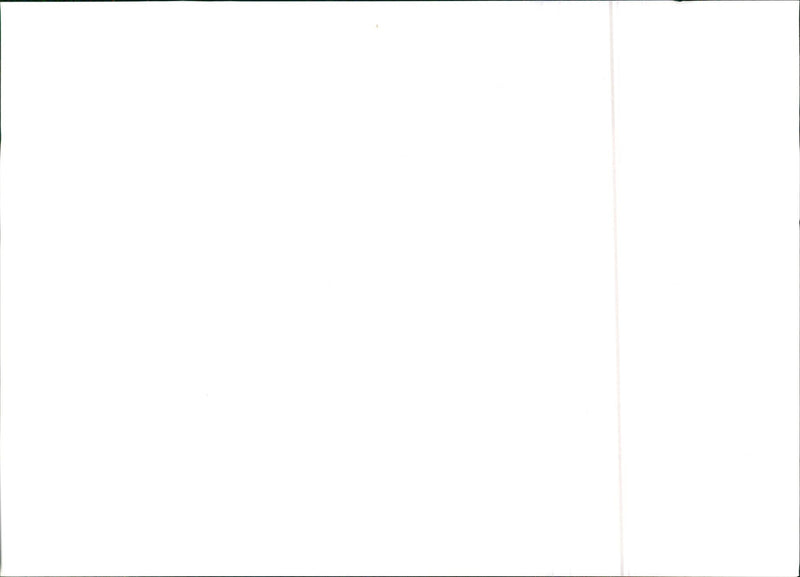 SEAT Marbella - Vintage Photograph