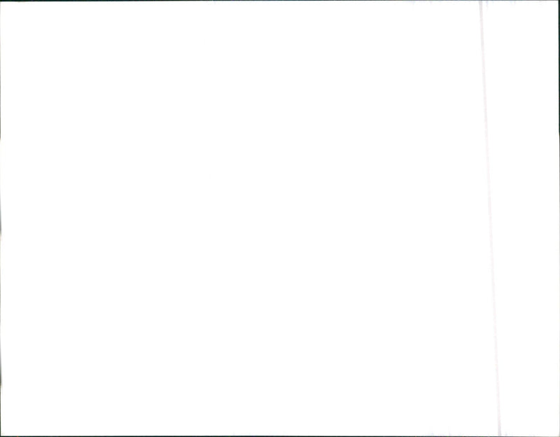 Alfa Romeo - Vintage Photograph