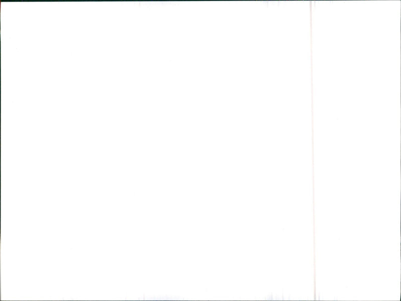 Alfa Romeo Giulietta 81 - Vintage Photograph