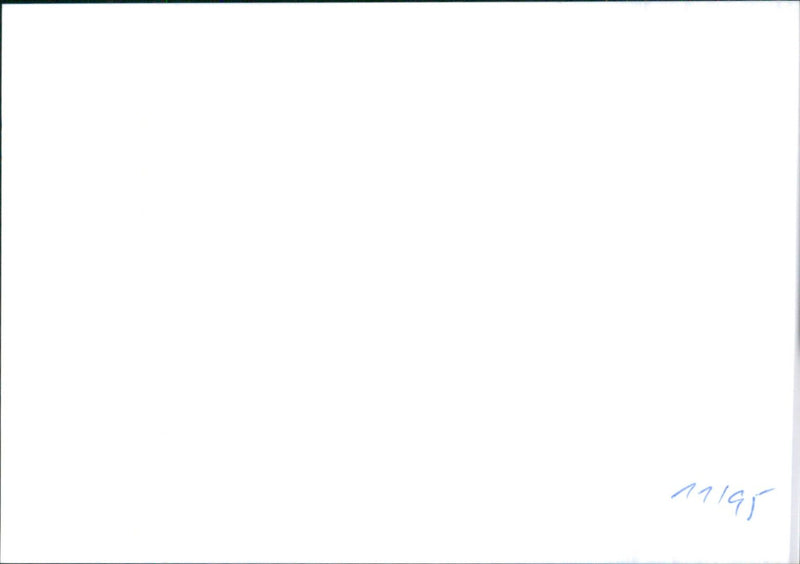 Jaguar Sentinel - Vintage Photograph